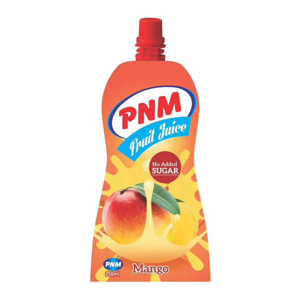 Pnm Fruit Juice Mango