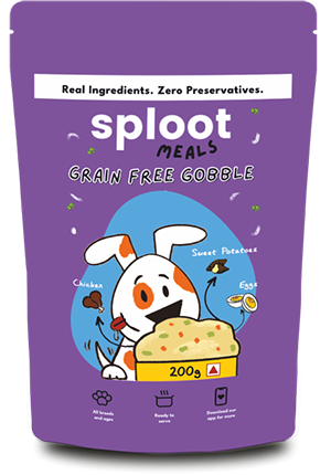 Sploot Pouch 200 Gm Gobble