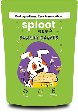 Sploot Pouch 200 Gm Paneer